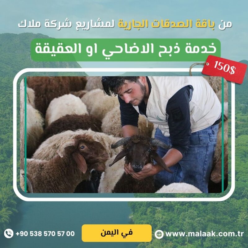 خدمة الأضاحي والعقائق في اليمن – بذبح شرعي وتوزيع موثوق شارك الأجر، وكن سببًا في إسعاد العائلات اليمنية المحتاجة في أيام العيد والمناسبات المباركة. من خلال خدمتنا الموثوقة، ننفذ أضحيتك أو عقيقتك نيابةً عنك في اليمن وفقًا للأحكام الشرعية، تحت إشراف فريق ميداني متخصص. نختار أضاحي وعقائق سليمة وصحية، ونقوم بالذبح في الوقت الشرعي، ثم نوزع اللحوم على الأسر الأشد حاجة في القرى والمناطق المنكوبة، لتصل البركة إلى من يستحقها، ويصل الأجر إليك. ???? تنفيذ خلال أيام العيد والمناسبات ???? توثيق كامل بالصور والفيديوهات ???? ذبح شرعي على يد جزارين محترفين ???? توزيع مباشر على الفقراء والمحتاجين سواءً كانت نيتك أضحية، عقيقة، فدية، أو صدقة جارية – نحن نؤديها عنك بكل أمانة واحتراف.